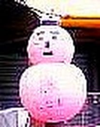 sawizo3's profile picture. 休眠中　＃逗子メダカ