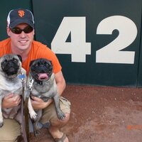 Tom Lautenschlager (@heybobber) 's Twitter Profile