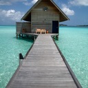 Julia Meier - @meier_js - Twitter