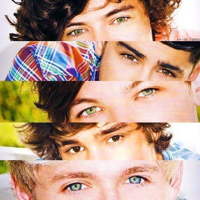 i am a girl a simple girl not pretty but nice personality im a directioner  for ever  i love one direction most of all niall :DD 4/5 1D follows