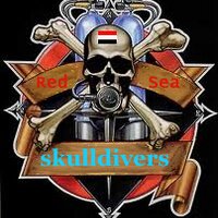 Skulldiver (@skulldiver) 's Twitter Profile