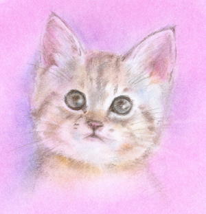 ゆきねこさんのプロフィール画像
