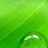 korshi_5's profile image