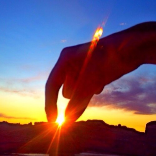 matchy_lo's profile picture. 