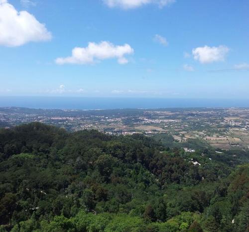 victtor_mg's profile picture. 