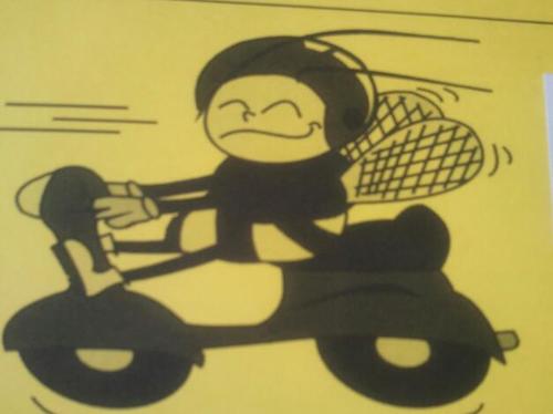 Willebaas's profile picture. 