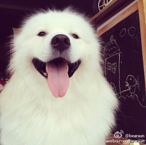 haicong1000's profile picture. 