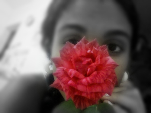 a leãozinho de @daiiamgs