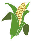 GM Crops & Food is a peer-reviewed journal on all scientific issues related to genetically modified crops and food