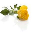 Emily Rhoades - @TxFullerCowgirl - Twitter