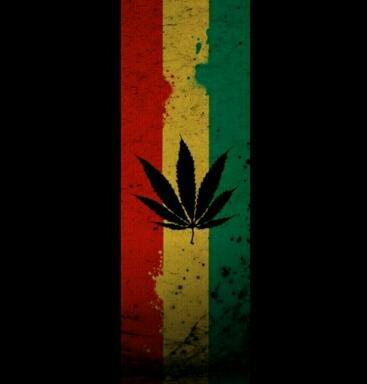 highasthehevans's profile picture. 