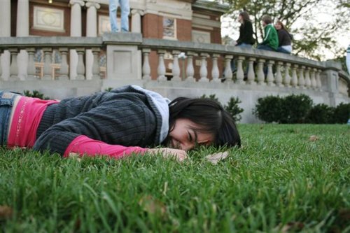 stephanieho's profile picture. 