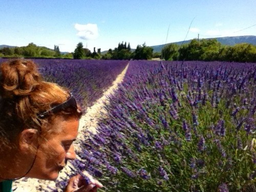 SevanHeesch's profile picture. 