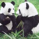 Bri Phillips - @Brilovesyou7 - Twitter