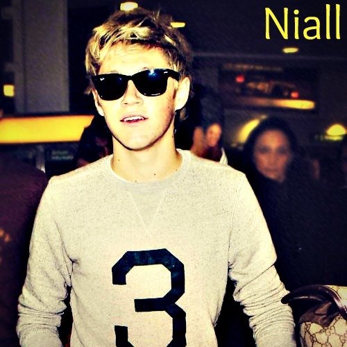 I'am @Directioners .I love @OneDirection.. I'm 14 . My dream it met @NiallHoran ♥ Follow me and ask for follow back. xx ♥
