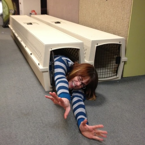 t_hub's profile picture. Mom. Baker. Business owner of @modmarketingco