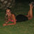 Iriss47's profile image