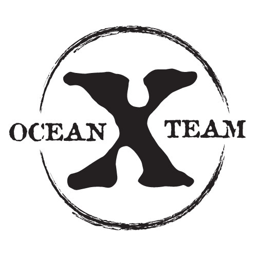 Ocean x Team has been conducting various diving excursions in North Europe for over 30 years. Their main focus has been to search for shipwrecks.