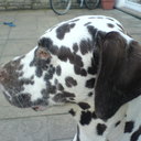 JoJoWilkinson - @joWilkinson12 - Twitter