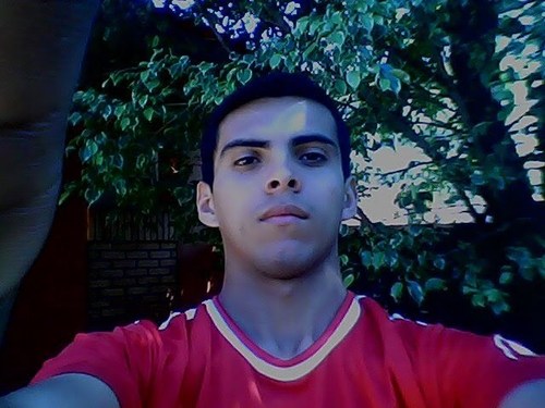 Foda-se o sistema
