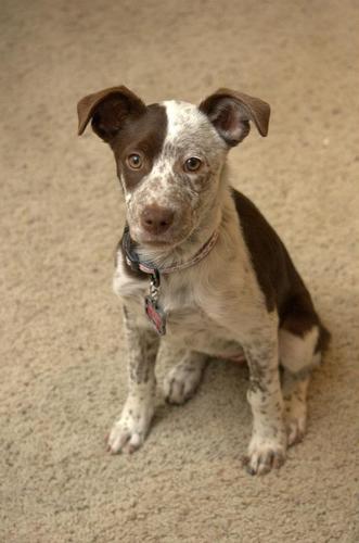 dubaycr's profile picture. 