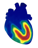 nuclear_drew's profile picture. 