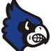 WHSVolleyball (@jaysvolleyball) Twitter profile photo