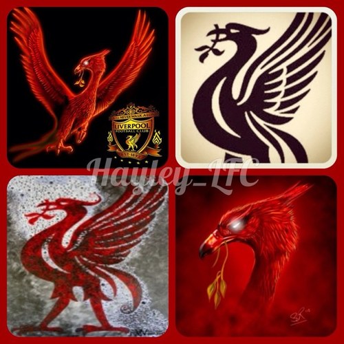 pau4life's profile picture. YNWA!!