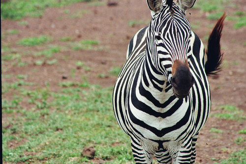 ElmarZeitgeist's profile picture. 