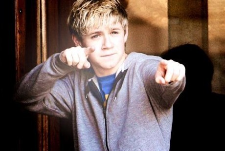 This is for everybody who loves Niall and the boys!! i want the boys to follow this so please help!!