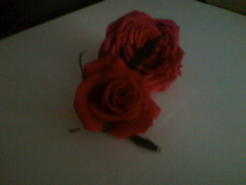 bhasar's profile picture. 