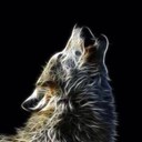 Chase  Carson - @one_manwolfpack - Twitter