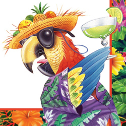 Dad, Sailor, Coach, Parrothead, Key West addict, Castaway, Wannabe Pirate and one heck of a nice guy!
