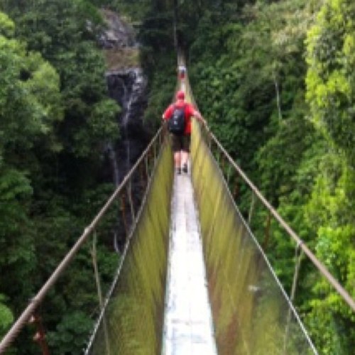 Clintshelbygt's profile picture. genius... risk taker... loyal