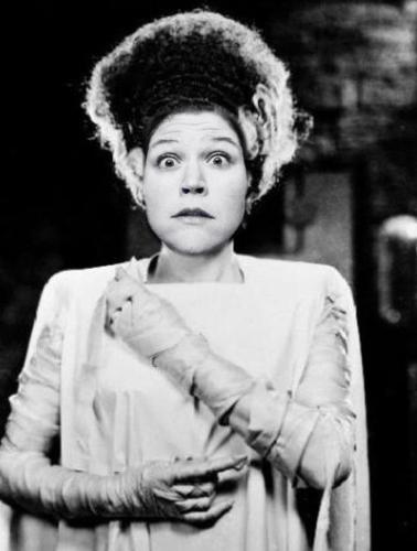 woodwhat's profile picture. Twitterus Minimus