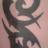 msandrini83's profile image