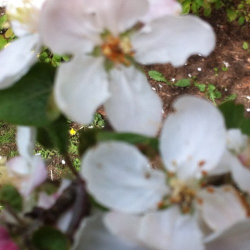 CSydor's profile picture. Mom, Wife,OT & News Junkie. Potentially serious Weather Channel addiction.