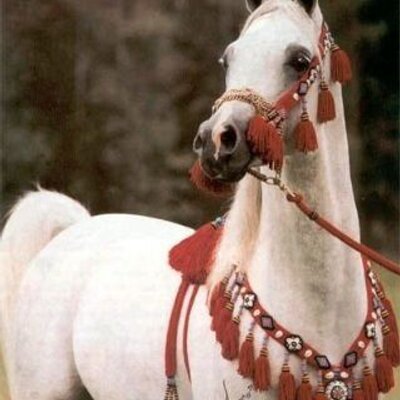 Ø±Ø¬Ù„ Ø¯ÙˆÙ„Ù‡ Dunhill1890 Twitter