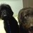 EHomb's profile image