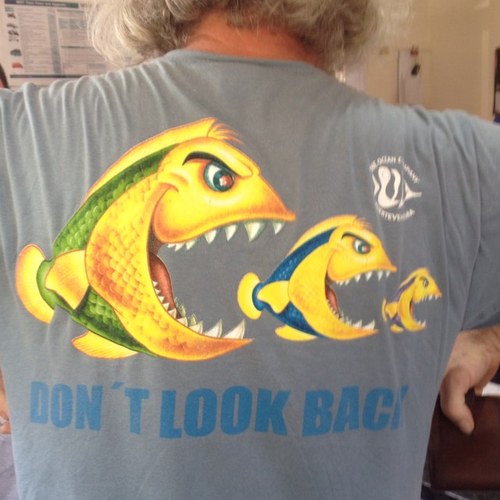 t11mme's profile picture. 