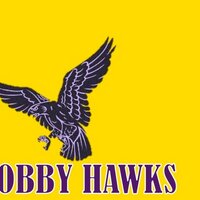 HobbyPTA (@hobbypta) 's Twitter Profile