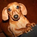 tami smith - @tamismith16 - Twitter