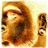 schizmjr's profile image