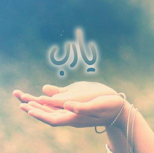 tota78_q8's profile picture. 