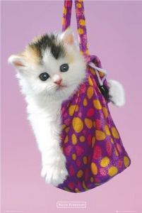 keyboardmaster1's profile picture. 