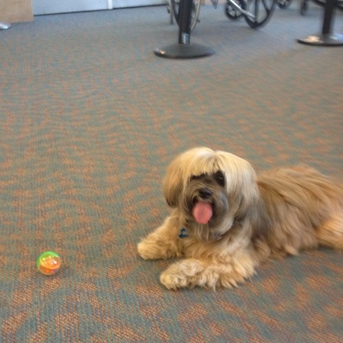 kimkarrels's profile picture. 