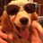 lucyismydog's profile image