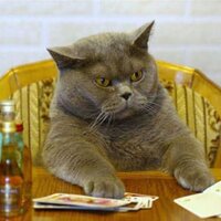 Craig (@goldenboymacrae) 's Twitter Profile
