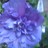 HuyckTherese's profile image
