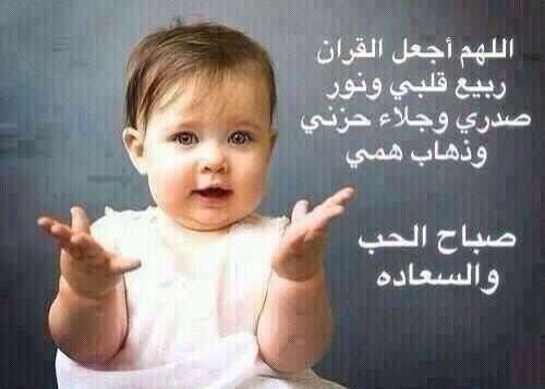 Alsaadi33R's profile picture. 